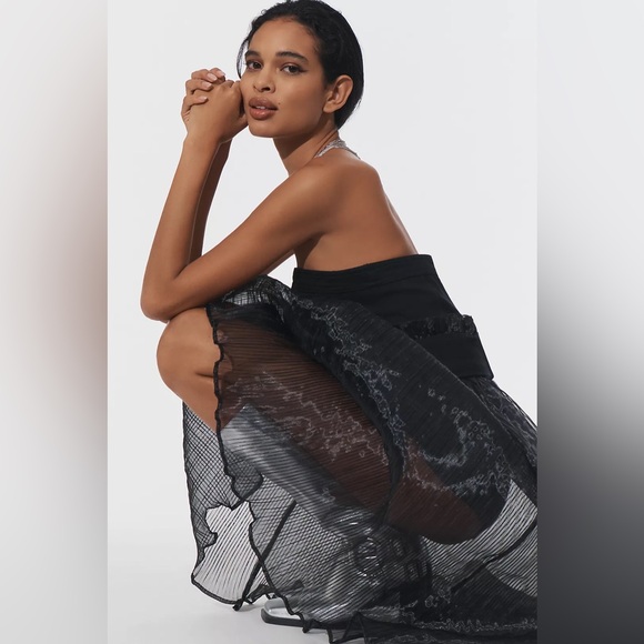 Anthropologie Dresses & Skirts - Pilcro by Anthropologie Strapless Bodysuit & Sheer Skirt NWT